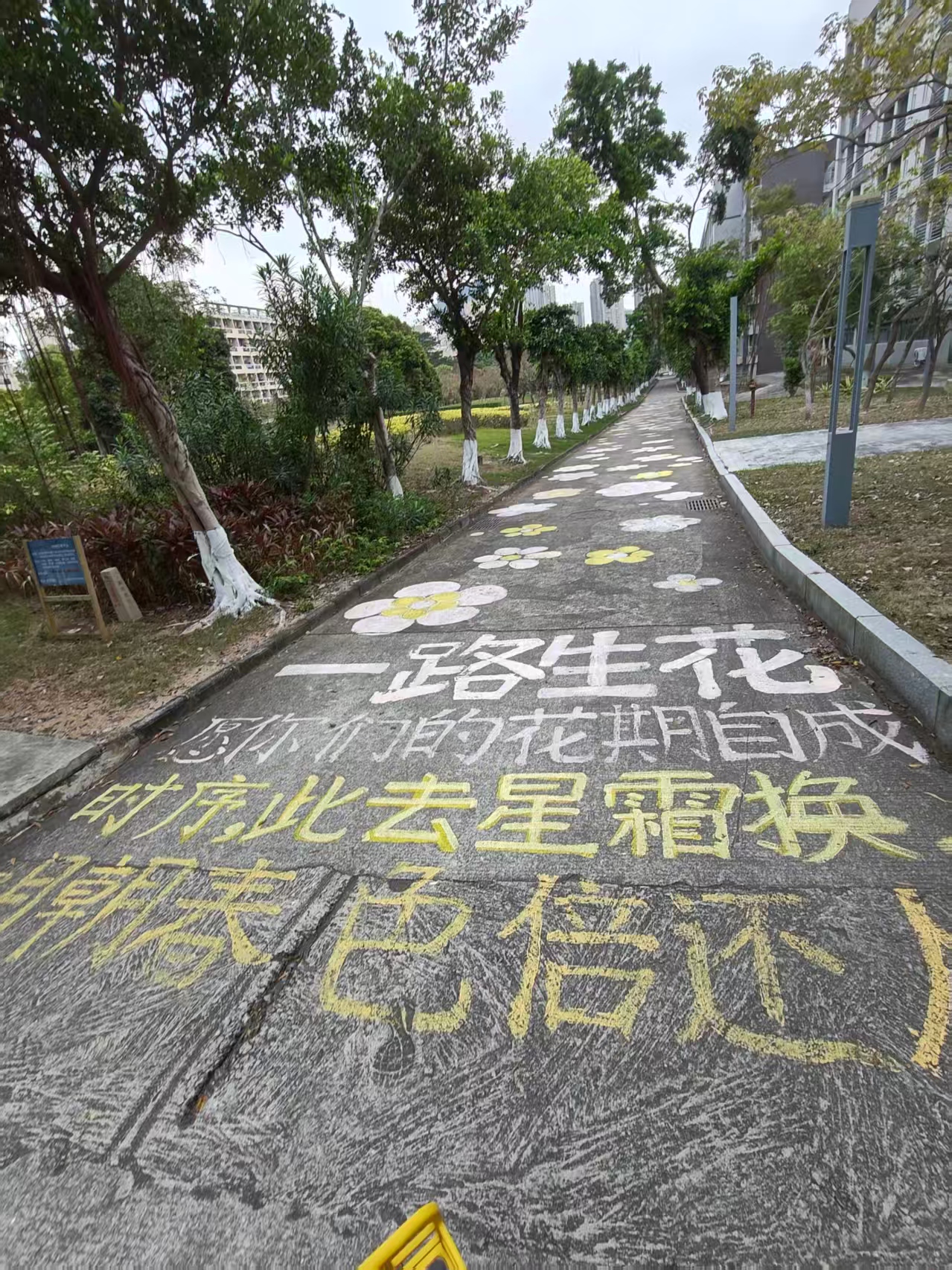 BIT美丽捏